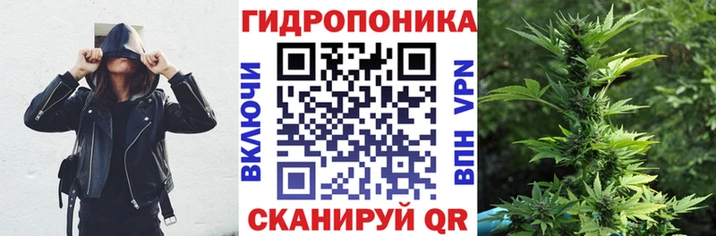 Конопля конопля Алушта